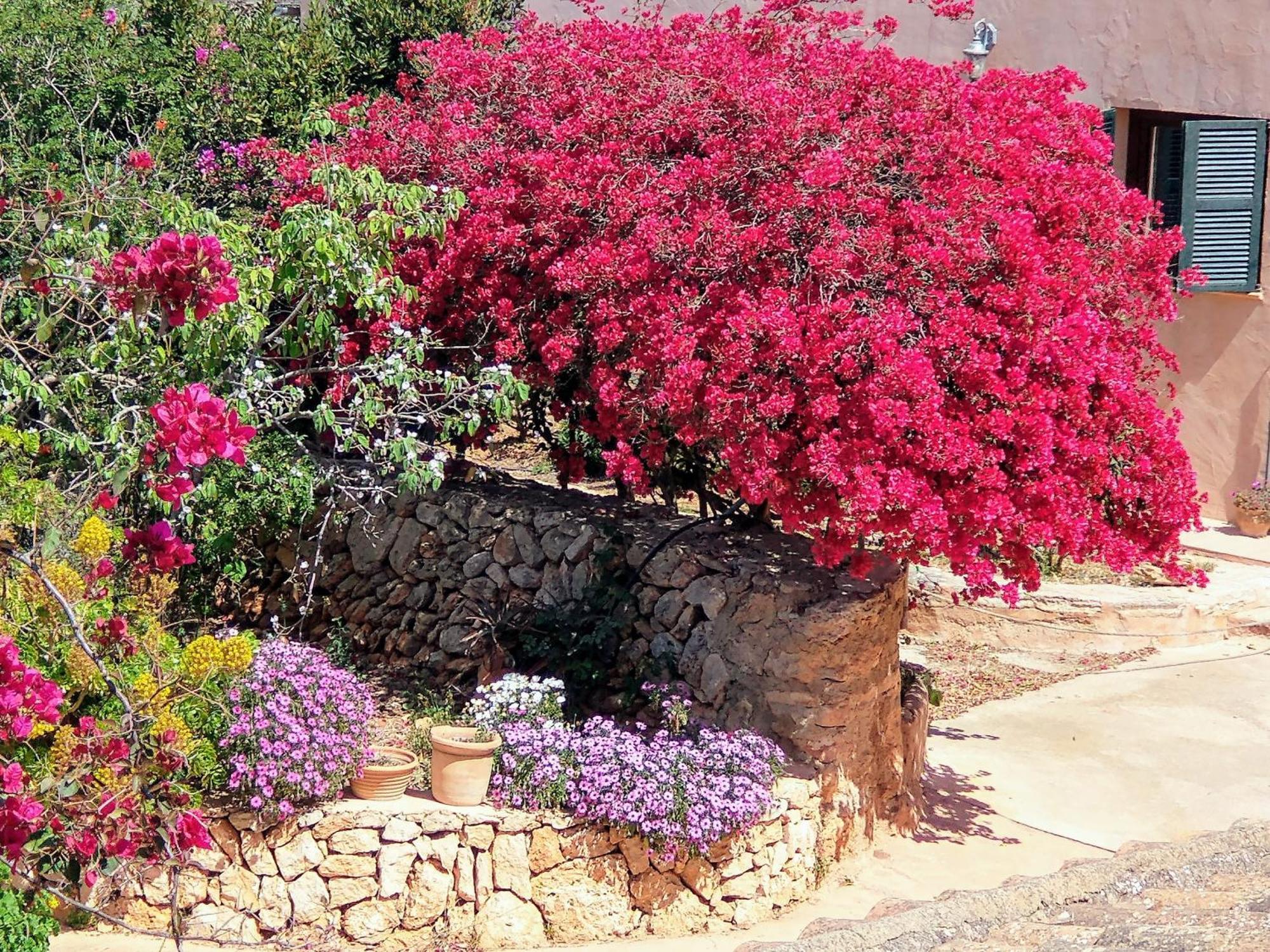 Finca Son Marimon (Adults Only) Santanyí Exteriér fotografie