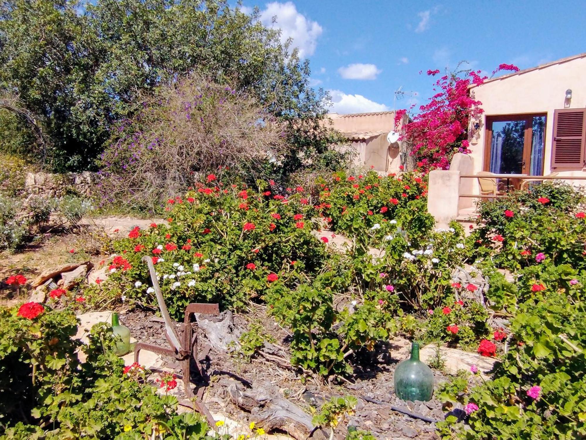Finca Son Marimon (Adults Only) Santanyí Exteriér fotografie