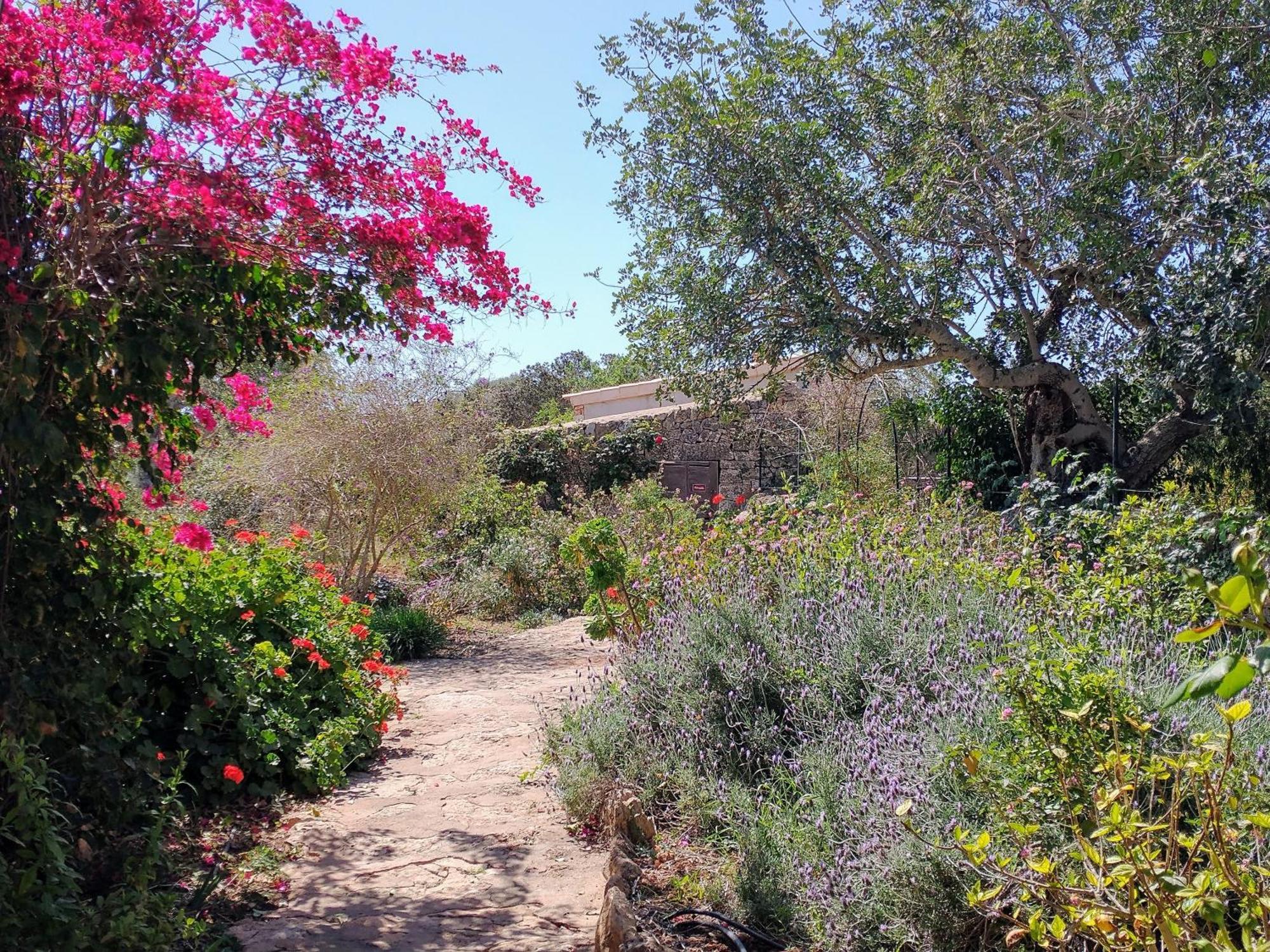 Finca Son Marimon (Adults Only) Santanyí Exteriér fotografie