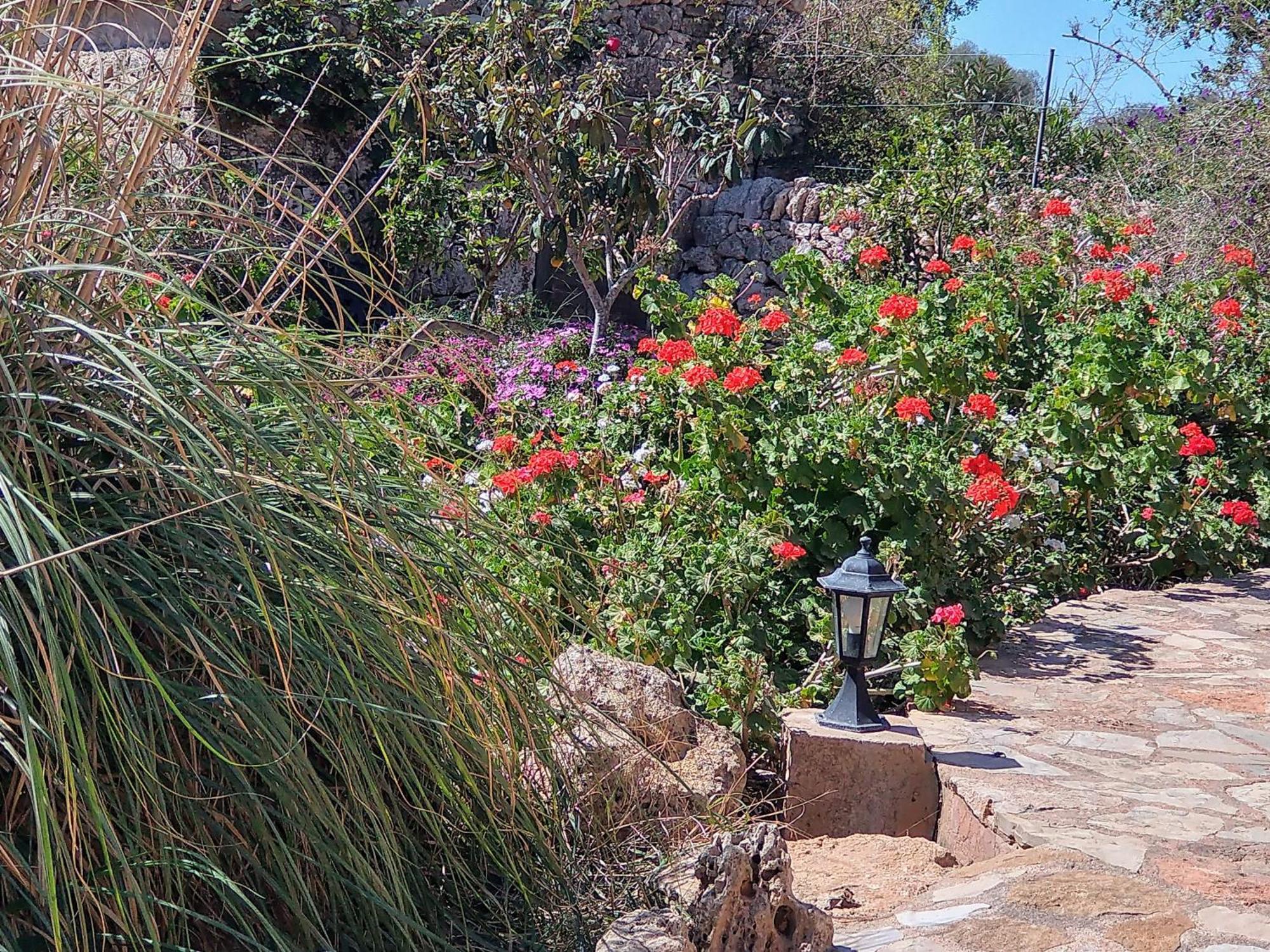 Finca Son Marimon (Adults Only) Santanyí Exteriér fotografie