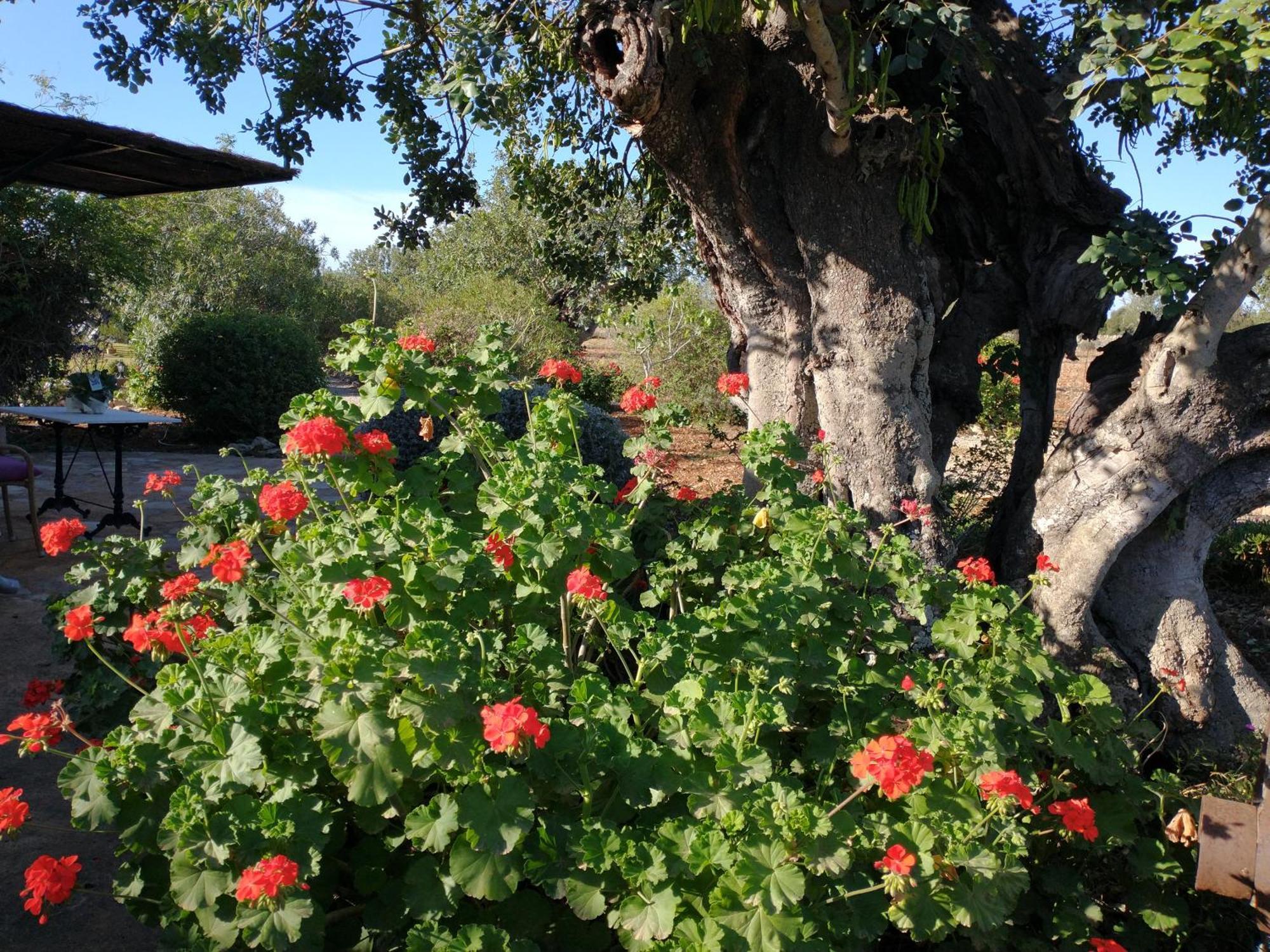 Finca Son Marimon (Adults Only) Santanyí Exteriér fotografie