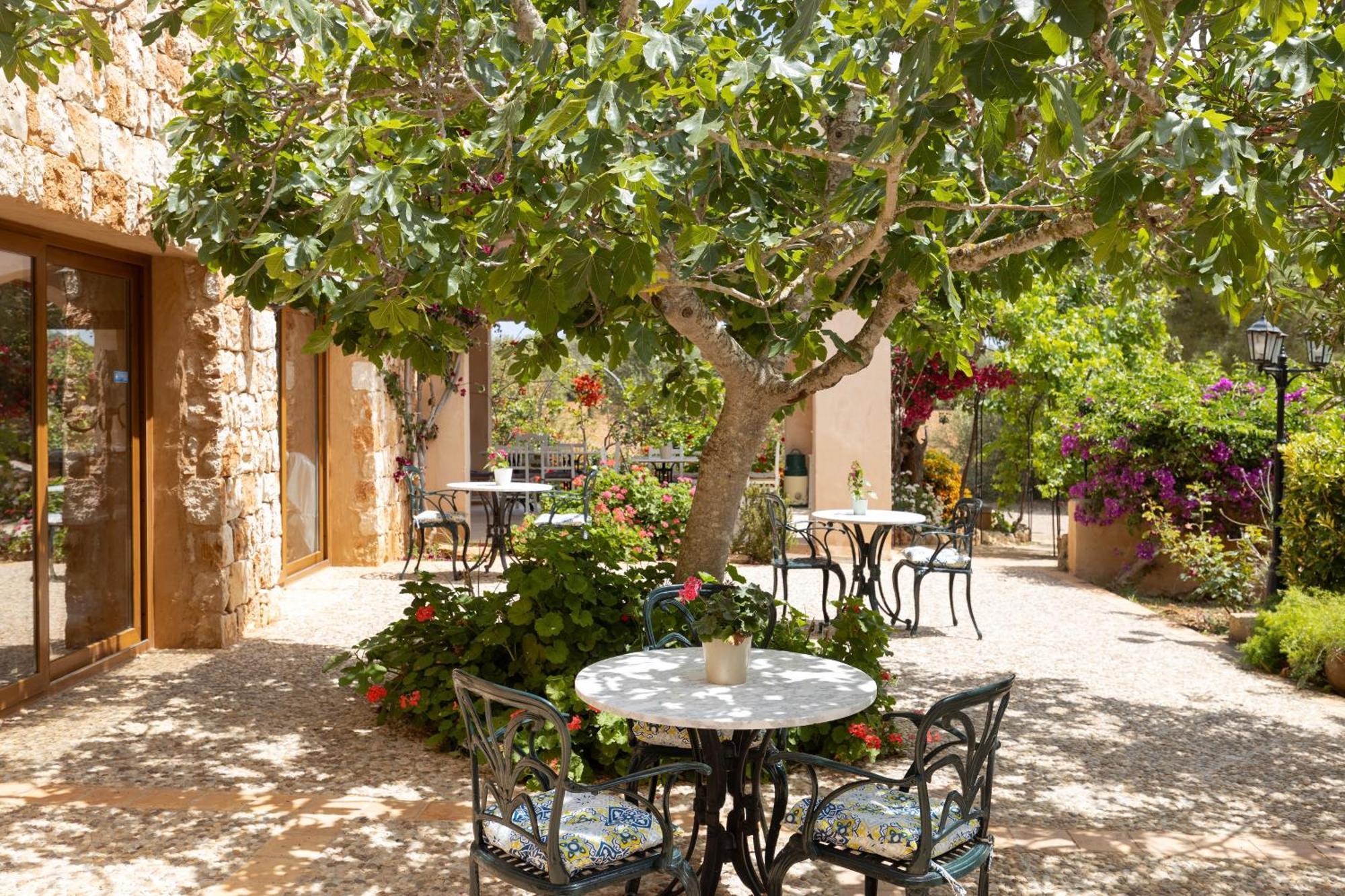 Finca Son Marimon (Adults Only) Santanyí Exteriér fotografie
