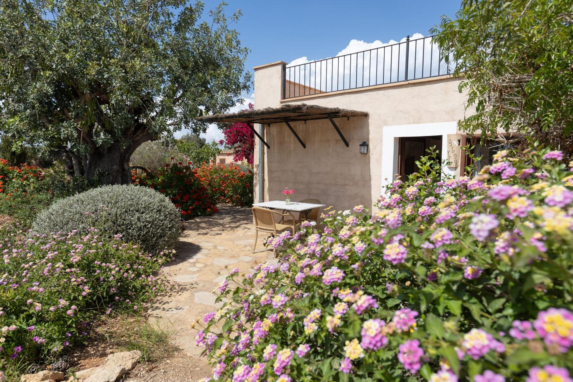 Finca Son Marimon (Adults Only) Santanyí Exteriér fotografie